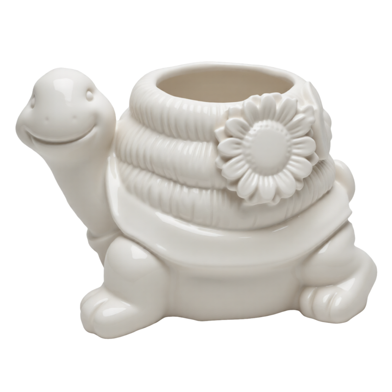 Tortoise pot